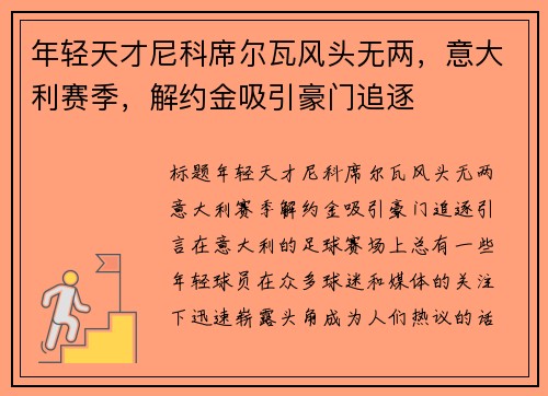 年轻天才尼科席尔瓦风头无两，意大利赛季，解约金吸引豪门追逐