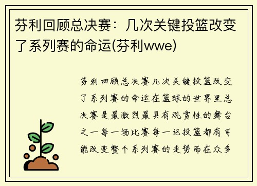 芬利回顾总决赛：几次关键投篮改变了系列赛的命运(芬利wwe)