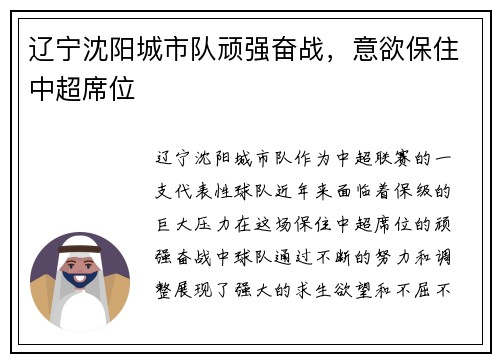 辽宁沈阳城市队顽强奋战，意欲保住中超席位